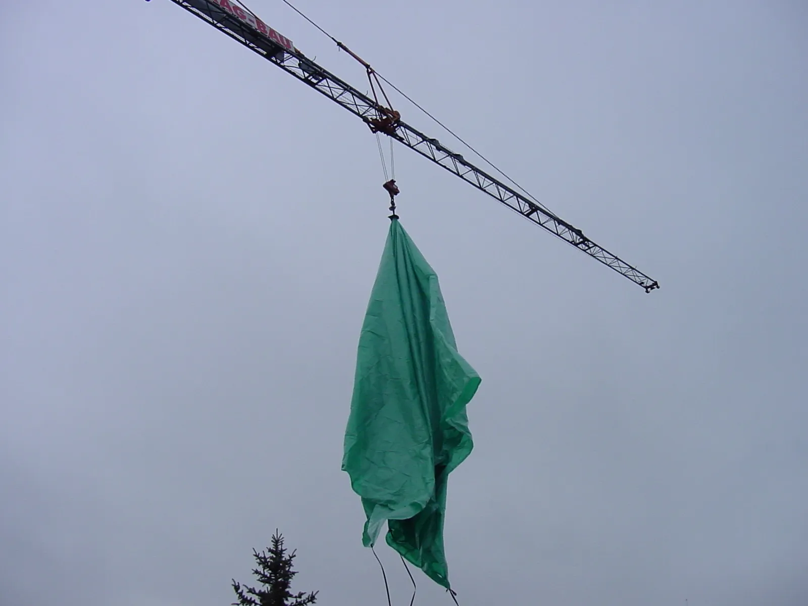 Selbstentfaltend – Bild 1